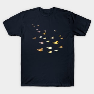 Sunbirds T-Shirt